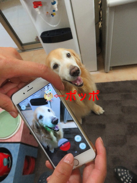 ファイル 5839-5.jpg