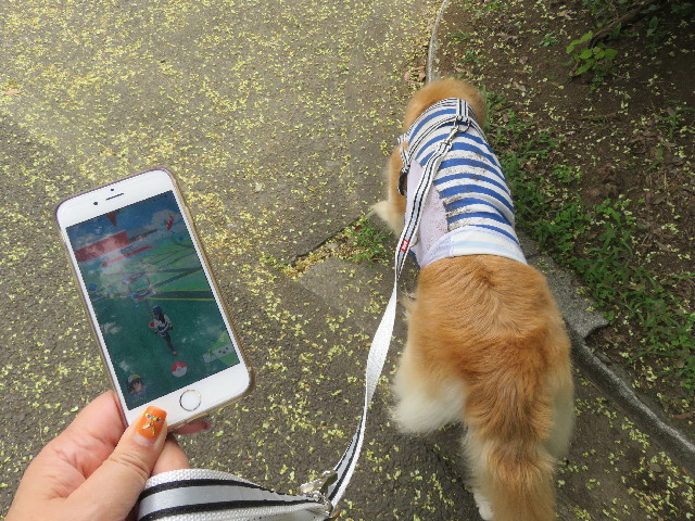 ファイル 5841-3.jpg