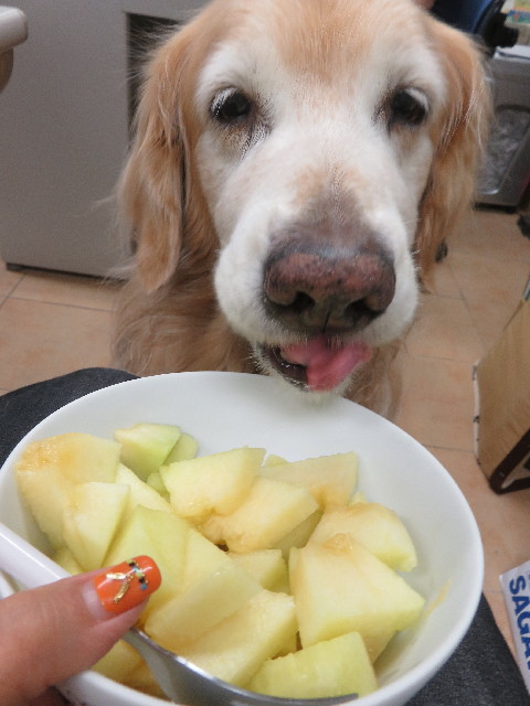 ファイル 5842-1.jpg