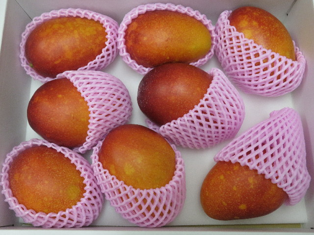 ファイル 5842-3.jpg