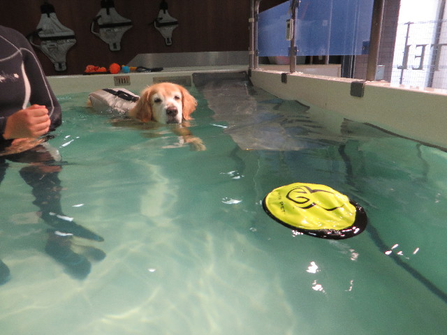 ファイル 5843-3.jpg