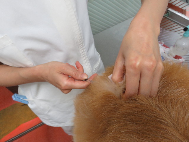 ファイル 5845-2.jpg