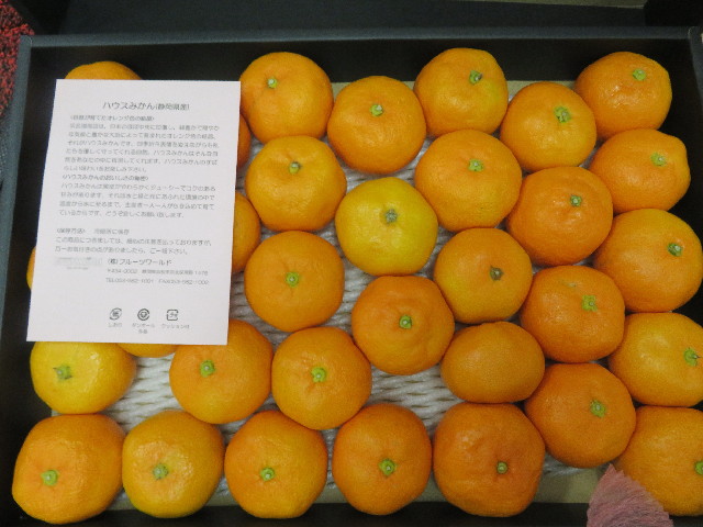 ファイル 5846-5.jpg