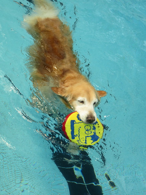 ファイル 5848-2.jpg