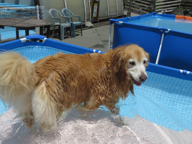 ファイル 5848-3.jpg