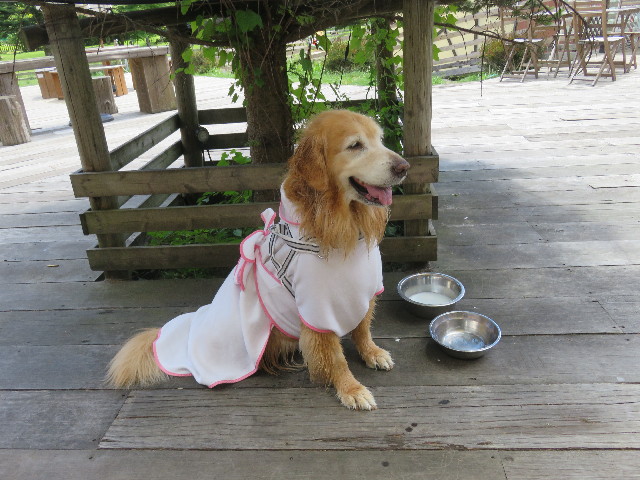 ファイル 5848-5.jpg