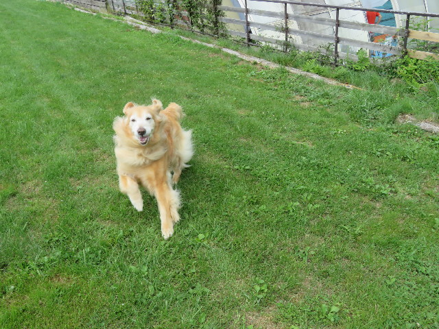 ファイル 5849-2.jpg