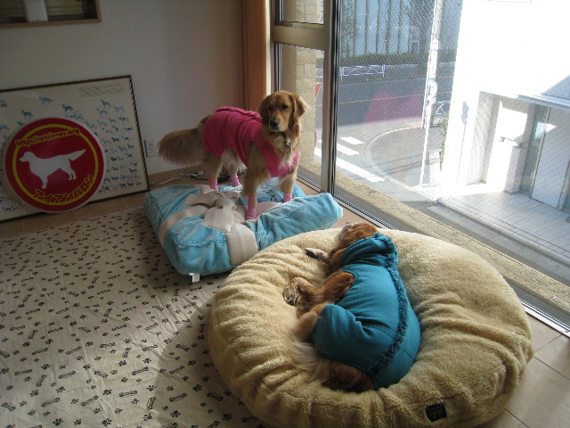 ファイル 585-2.jpg