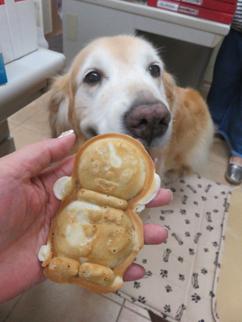 ファイル 5851-4.jpg