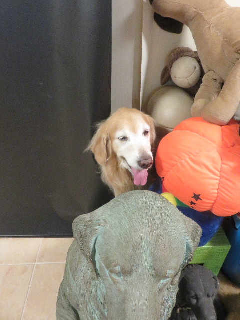 ファイル 5852-5.jpg