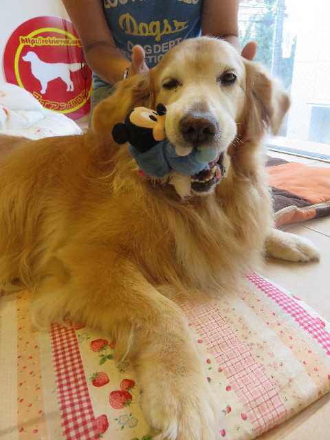 ファイル 5853-5.jpg