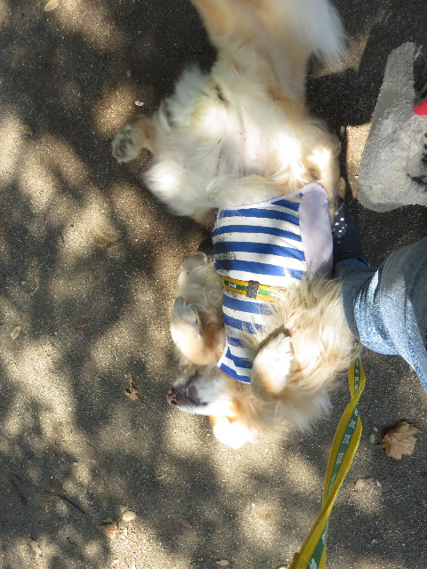 ファイル 5854-3.jpg