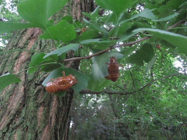 ファイル 5855-3.jpg