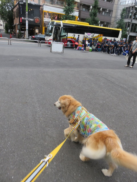 ファイル 5856-2.jpg