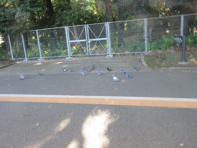 ファイル 5856-3.jpg