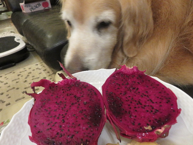 ファイル 5857-2.jpg