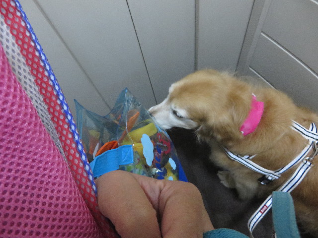 ファイル 5858-1.jpg