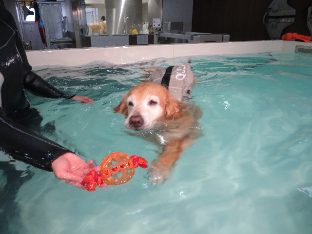 ファイル 5858-2.jpg