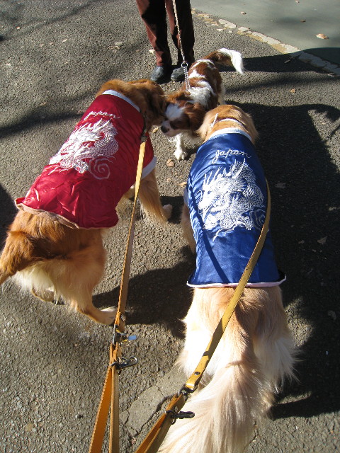 ファイル 586-1.jpg