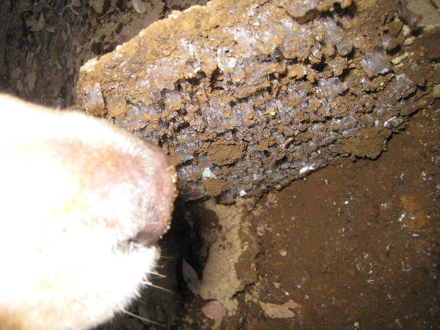 ファイル 586-3.jpg