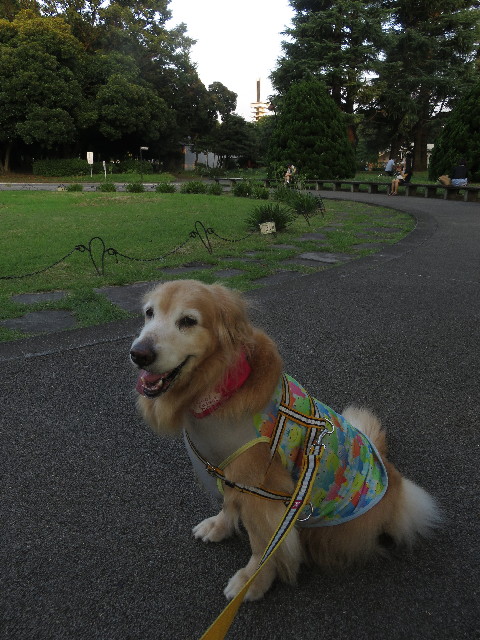 ファイル 5860-3.jpg