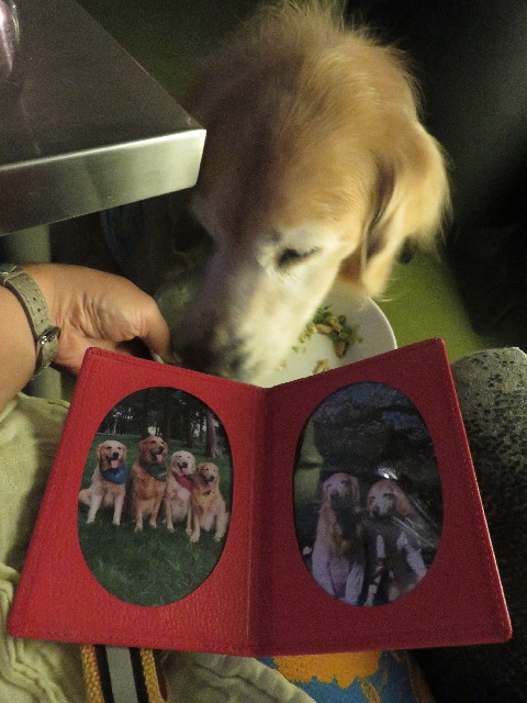 ファイル 5860-4.jpg