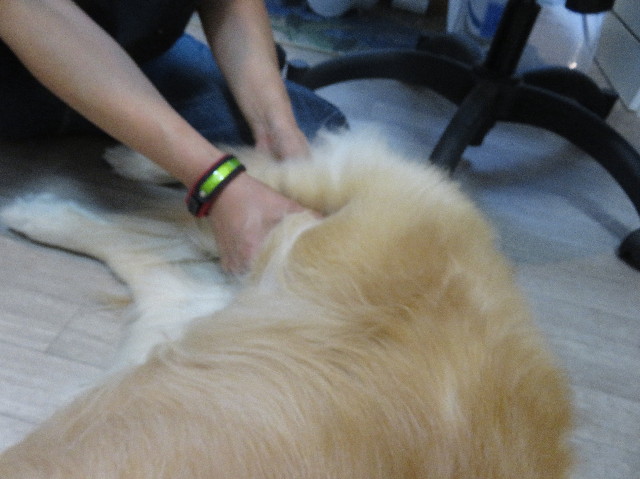 ファイル 5861-2.jpg