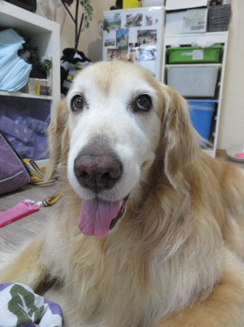 ファイル 5861-5.jpg