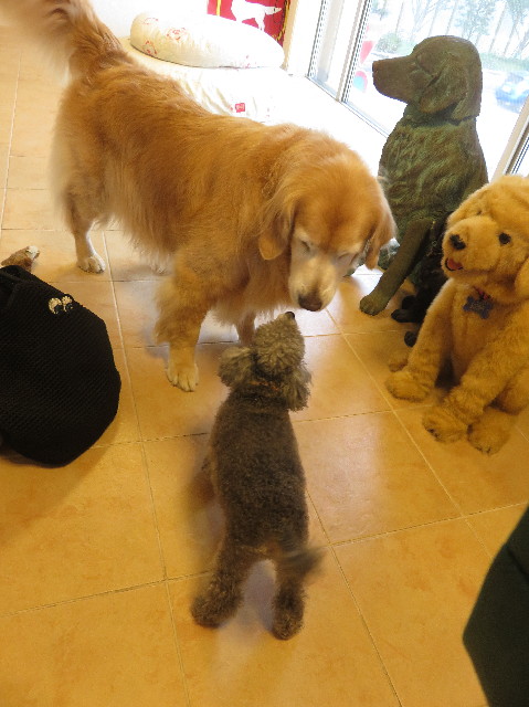 ファイル 5862-4.jpg