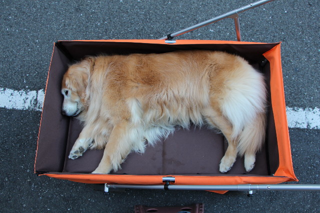 ファイル 5863-1.jpg