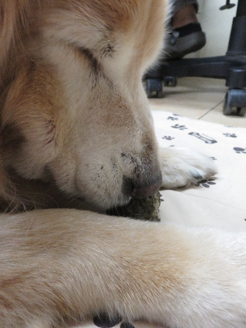 ファイル 5863-2.jpg