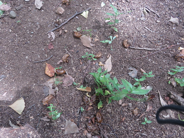 ファイル 5864-4.jpg