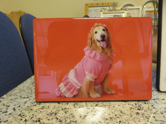 ファイル 5865-2.jpg