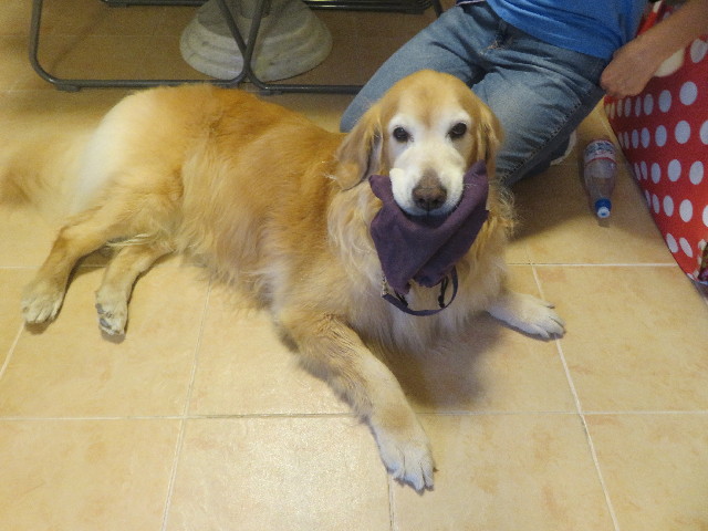 ファイル 5865-4.jpg