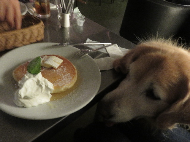 ファイル 5865-5.jpg