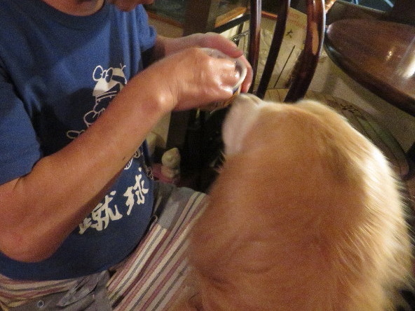 ファイル 5866-4.jpg