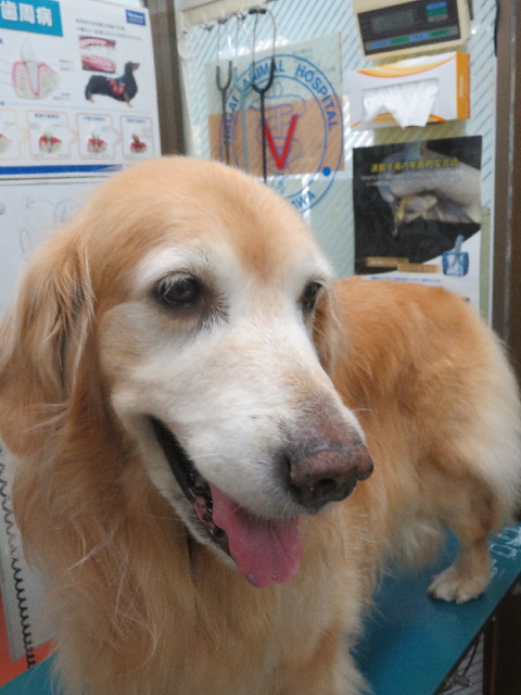 ファイル 5868-3.jpg