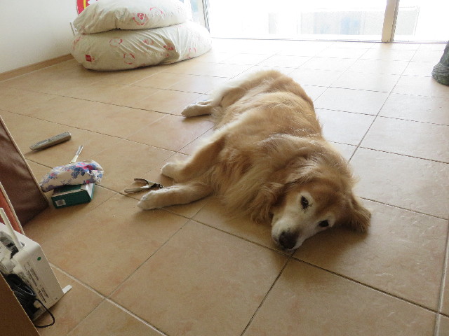 ファイル 5868-5.jpg