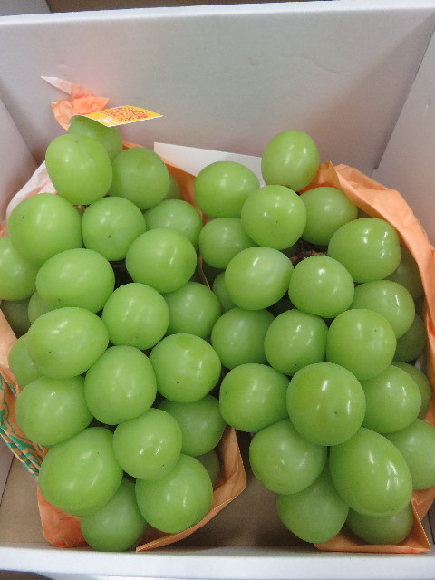 ファイル 5869-4.jpg