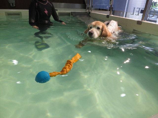 ファイル 5870-2.jpg