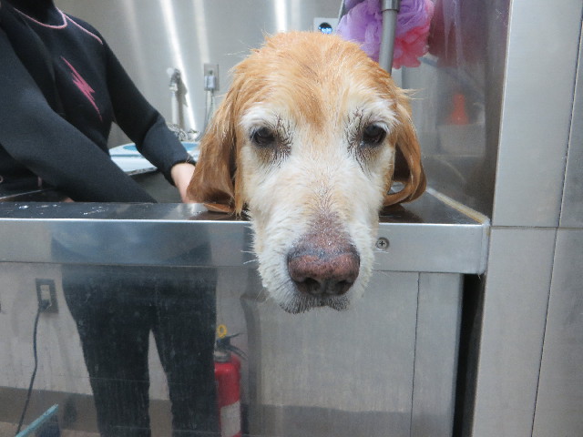 ファイル 5870-5.jpg