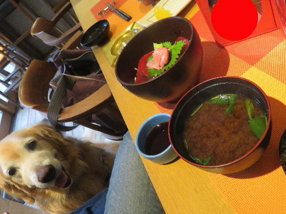 ファイル 5871-4.jpg