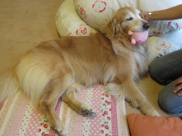 ファイル 5872-5.jpg