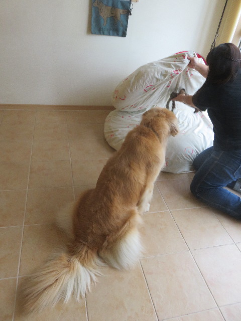 ファイル 5873-1.jpg