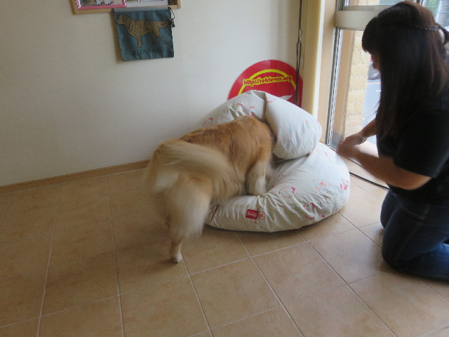 ファイル 5873-2.jpg