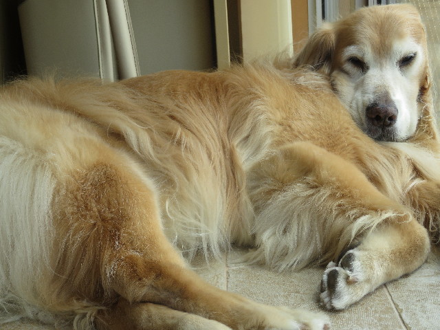 ファイル 5875-3.jpg