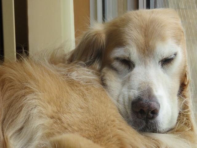 ファイル 5875-4.jpg