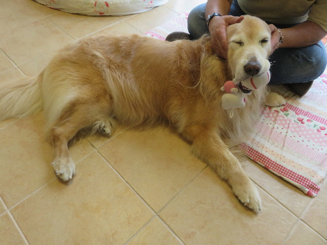 ファイル 5876-5.jpg