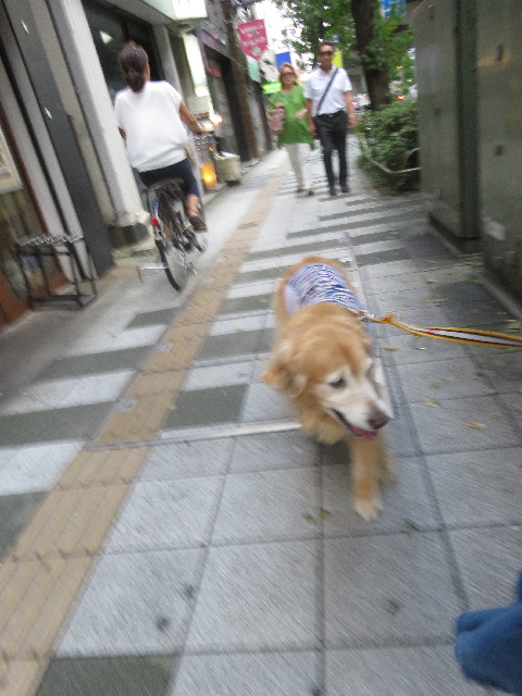 ファイル 5878-1.jpg