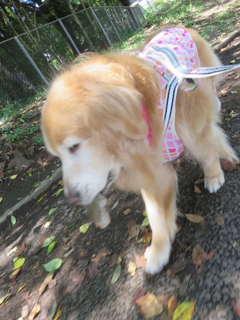 ファイル 5878-4.jpg